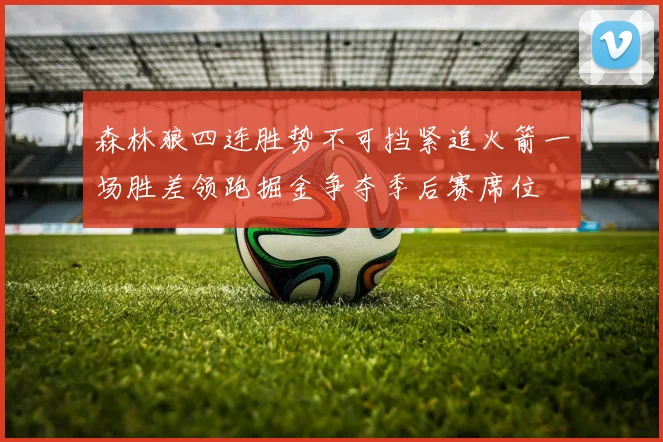 森林狼四连胜势不可挡紧追火箭一场胜差领跑掘金争夺季后赛席位