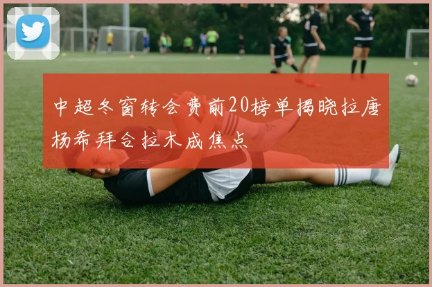 中超冬窗转会费前20榜单揭晓拉唐杨希拜合拉木成焦点
